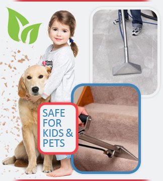 Professional Carpet Cleaner Safe For Kids & pets